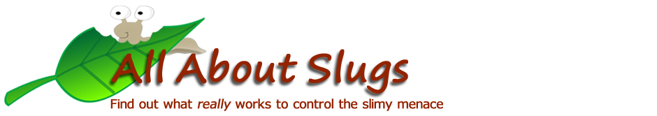 All About Slugs