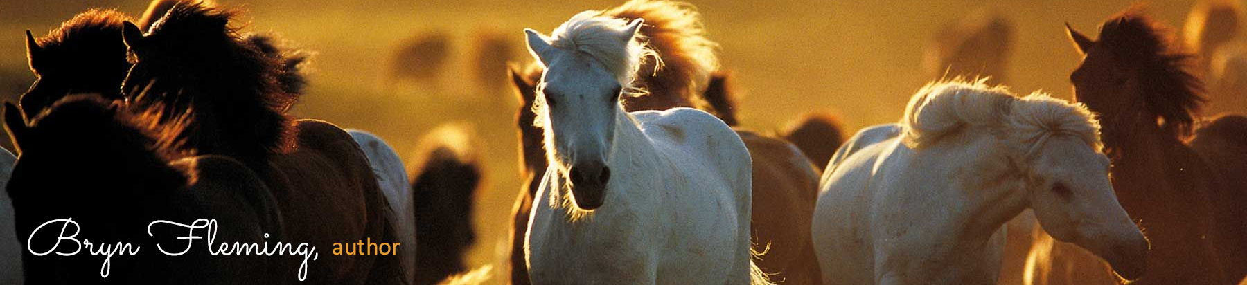 Bryn Fleming authoer wild horse header